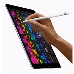 Apple iPad Pro 256 Go 26,7 cm (10.5") iOS 10 Gris - Vue supplémentaire 6